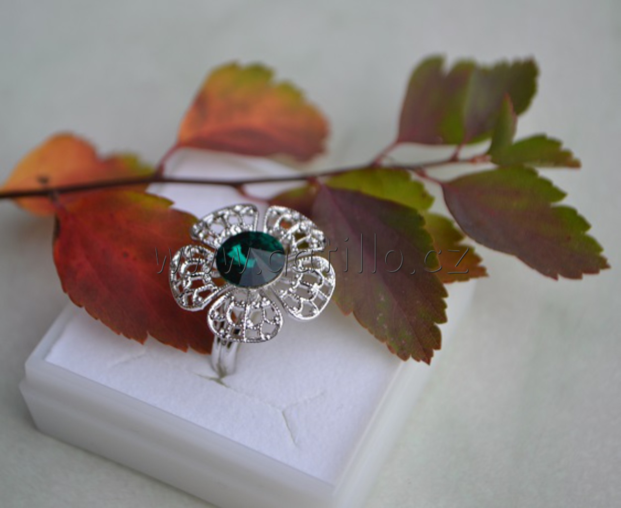 Kopretina s rivoli Emerald